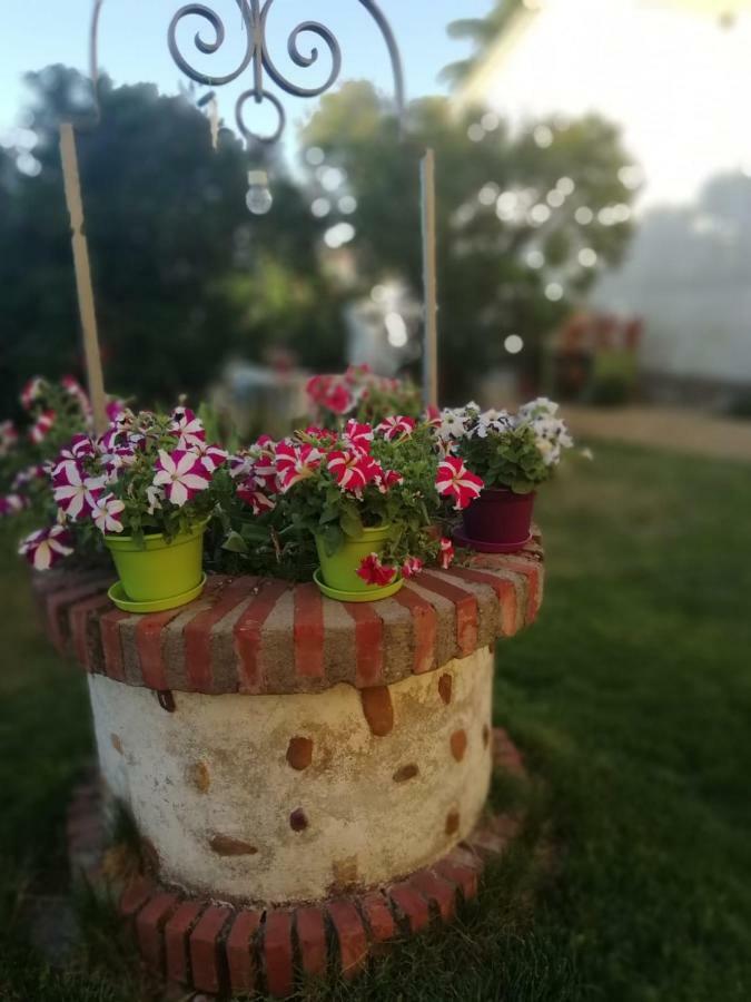 Vila Boleta A 5 Minutos De Leon, Casa Con Jardin San Andrés del Rabanedo Exteriér fotografie