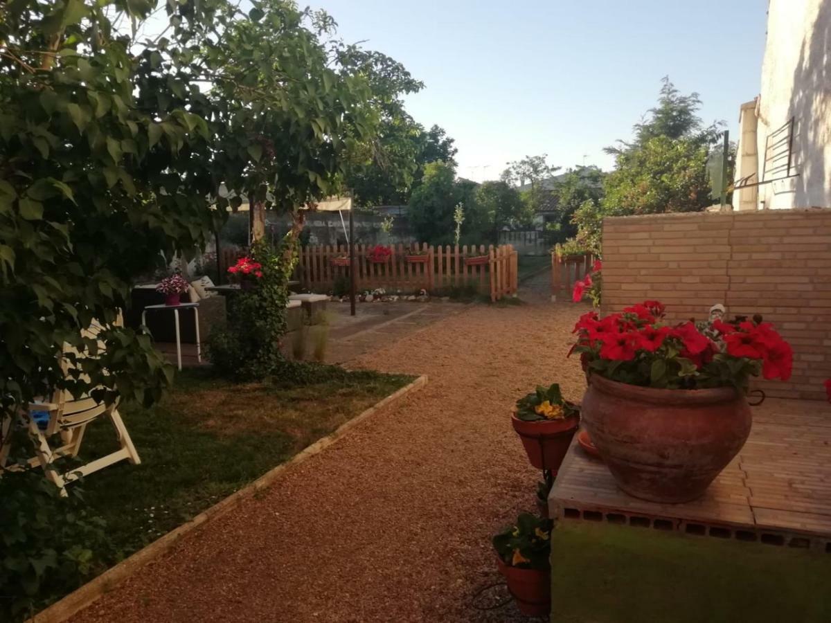 Vila Boleta A 5 Minutos De Leon, Casa Con Jardin San Andrés del Rabanedo Exteriér fotografie